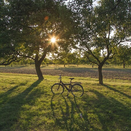 Fietsvakantie Limburg